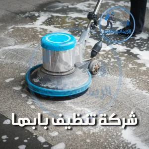 شركة تنظيف بابها