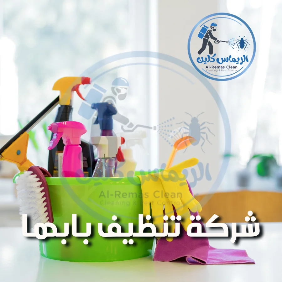 شركة تنظيف بابها 