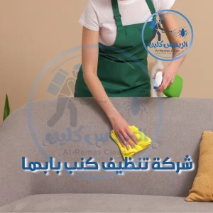 شركة تنظيف كنب بابها