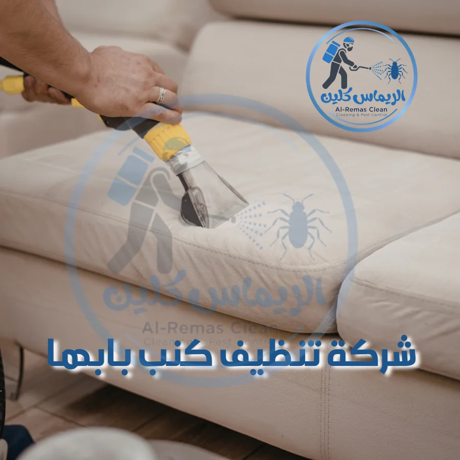 شركة تنظيف كنب بابها